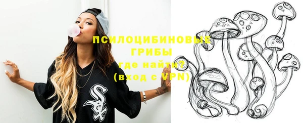 винт Алзамай